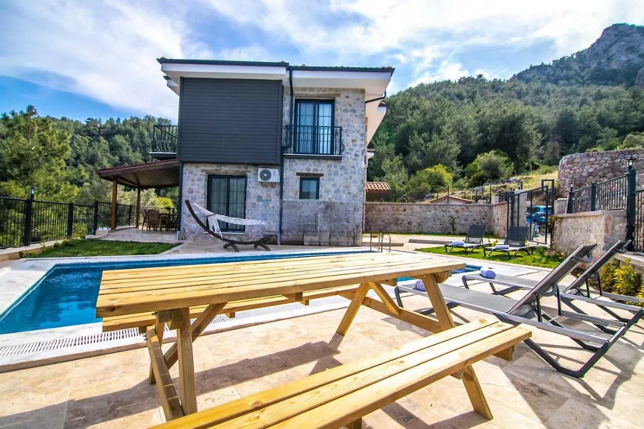 Dadya Villa 4 - Marmaris Turgut Da Oezel Havuzlu Denize Yakin Lueks Villa 0*,  Turkiet